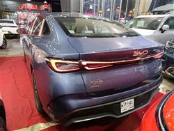 بي واي دي سيل 06 DM-i